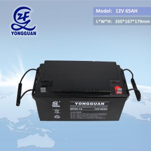 AGM Battery 12V60AH/65AH